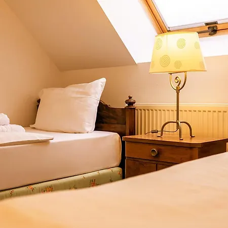 Apparthotel Bad Schandau By Steiger Hotels Hotel