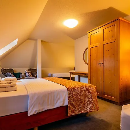 Hotel Apparthotel Bad Schandau By Steiger Hotels 4*