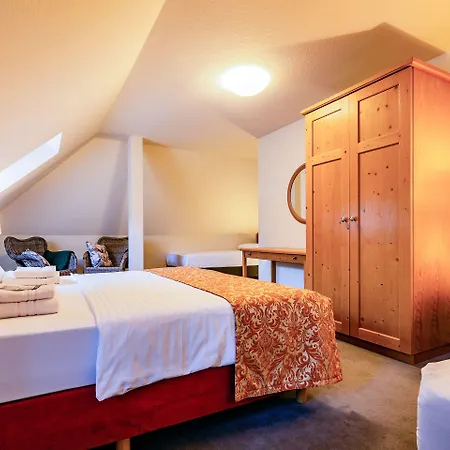 Apparthotel Bad Schandau By Steiger Hotels 4*