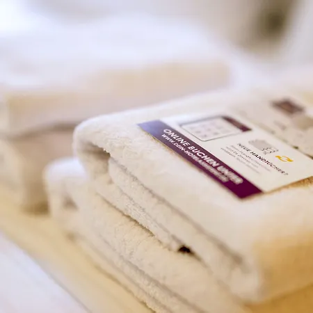 Apparthotel Bad Schandau By Steiger Hotels Hotel