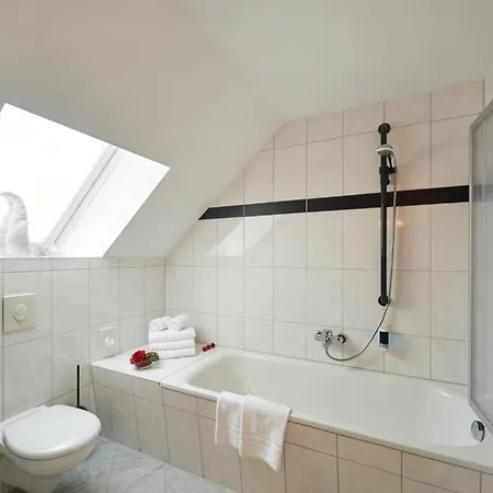 Hotel Apparthotel Bad Schandau By Steiger Hotels