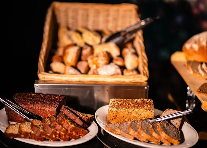 Hotel Apparthotel Bad Schandau By Steiger Hotels 4*