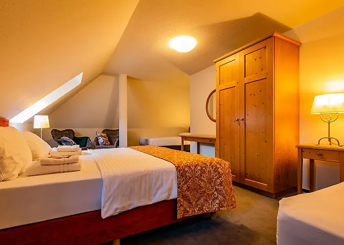 Hotel Apparthotel Bad Schandau By Steiger Hotels 4*